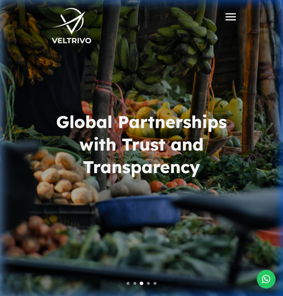 Veltrivo Exports & Imports Tablet View